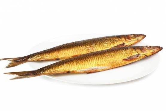 Herring - رنجه